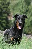 BEAUCERON 066